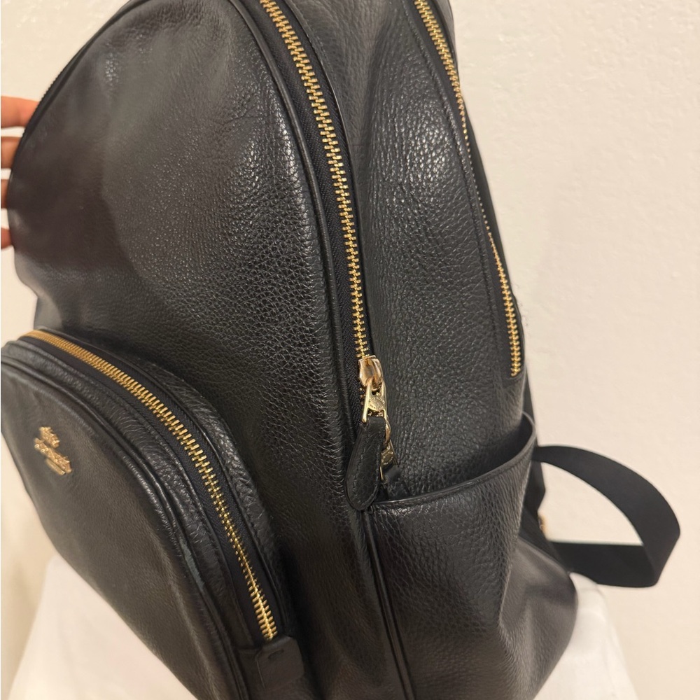Coach Dark Gray Leather Men's Backpack - Picture 6 of 13